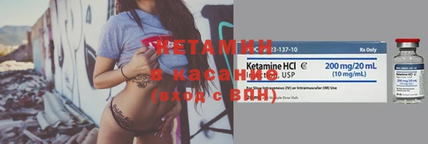 сатива Балахна