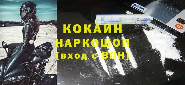 сатива Балахна