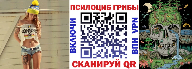 Галлюциногенные грибы Cubensis  Купить  Лесной 